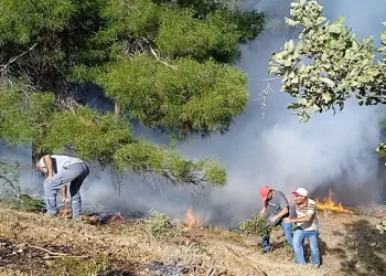 Denizli’de orman yangını