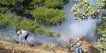 Denizli’de orman yangını