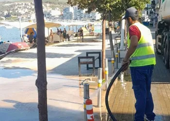 Gemlik sahilleri temizlendi