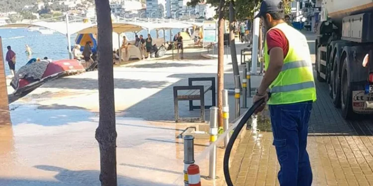 Gemlik sahilleri temizlendi