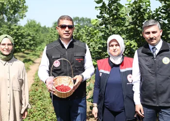 Fındığın yanında dağ çileği üretilecek