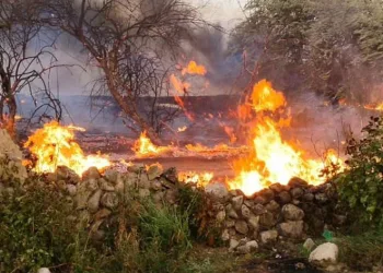 Elazığ’da otluk alanda yangın