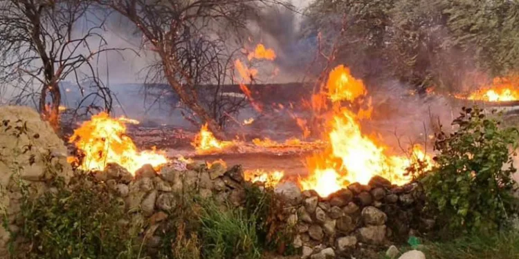 Elazığ’da otluk alanda yangın