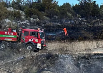 Serik’te orman yangını kısa sürede söndürüldü