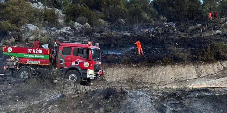 Serik’te orman yangını kısa sürede söndürüldü