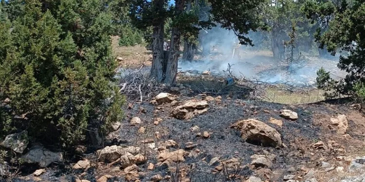 Mersin’de orman yangını, büyümeden söndürüldü
