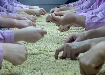Düzce’de 5 bin 611 ton fındık ihraç edildi