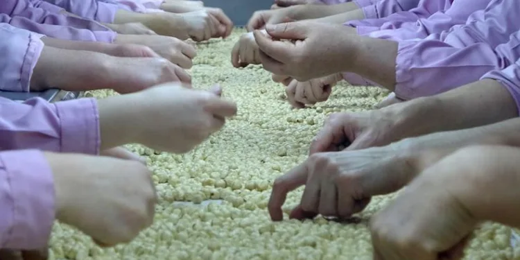 Düzce’de 5 bin 611 ton fındık ihraç edildi