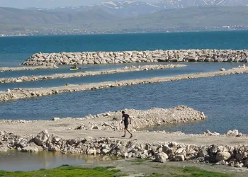 Van Gölü’nde su seviyesi yükseldi