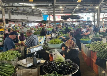 Fiyatlar düştü, ilgi arttı