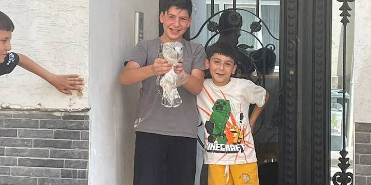 Yaralı bulunan martı tedavi altına alındı