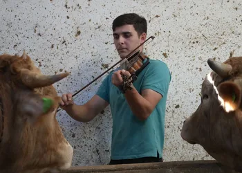 Kemanın melodisiyle büyüyen kurbanlıklar