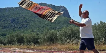 Halı meraklısının gözü bu tarlada