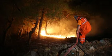 Çanakkale’nin Ayvacık ilçesinde orman yangını