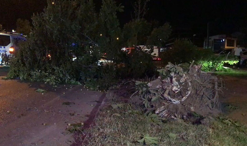 BURSA'DA BİRBİRLERİ İLE YARIŞTIKLARI İDDİA EDİLEN 2 OTOMOBİL BİRBİRİNE ÇARPTI. KAZADA 1 KİŞİ HAYATINI KAYBEDERKEN, 1'İ AĞIR 2 KİŞİ YARALANDI. (EX OLAN MUZAFFER SAMET TURNA) (EMİR AKTAŞ/BURSA-İHA) Bursa'da birbirleri ile yarıştıkları iddia edilen 2 otomobil birbirine çarptı. Kazada 1 kişi hayatını kaybederken, 1'i ağır 2 kişi yaralandı.