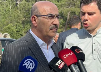 Vali Demirtaş: 100 hektar orman alanı yandı
