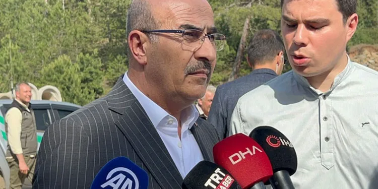 Vali Demirtaş: 100 hektar orman alanı yandı