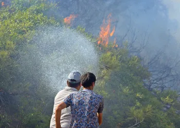 Antalya’da orman yangını