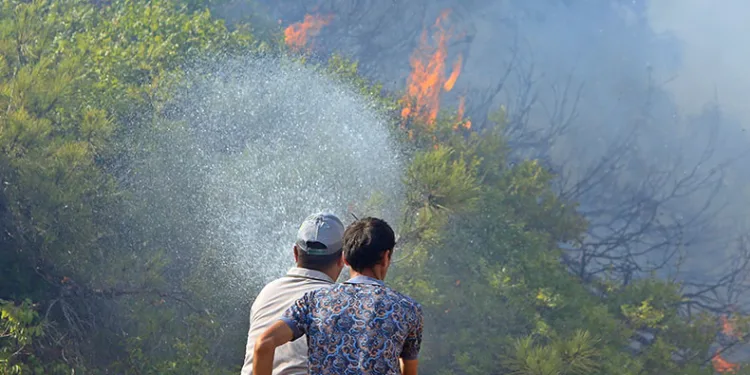 Antalya’da orman yangını