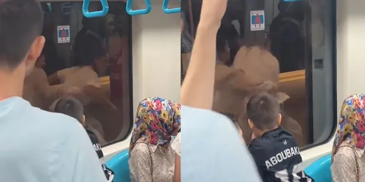 Maltepe Marmaray’da kadınlar kavga etti