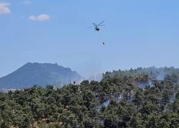 İzmir ve Balıkesir’deki orman yangınları kontrol altına alındı