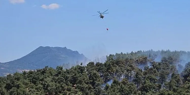 İzmir ve Balıkesir’deki orman yangınları kontrol altına alındı