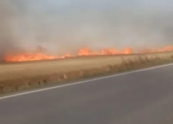Tekirdağ’da 180 dönüm buğday cayır cayır yandı