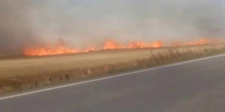 Tekirdağ’da 180 dönüm buğday cayır cayır yandı