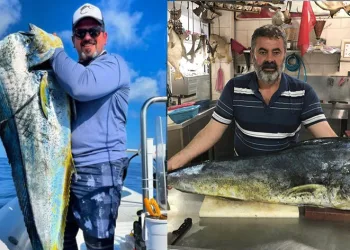 Adana’da balıkçılar 26 kiloluk lambuka yakaladı
