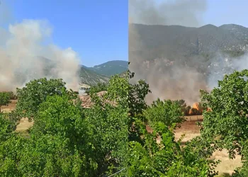 Sinop’ta tarım arazisinde yangın