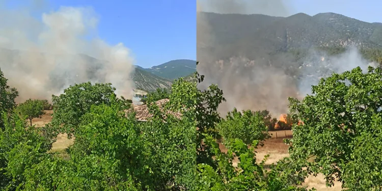 Sinop’ta tarım arazisinde yangın