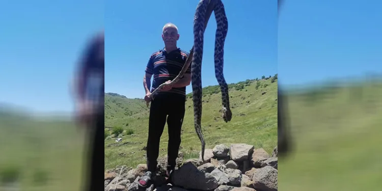 Görülen yılan vatandaşları tedirgin etti
