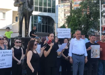 Sokak köpeğine kürekle saldırı tepki topladı