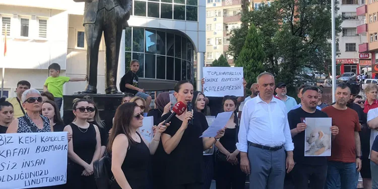 Sokak köpeğine kürekle saldırı tepki topladı