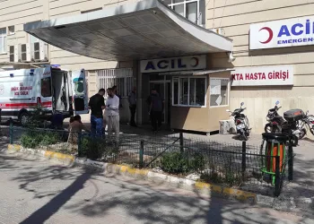 Şanlıurfa’da acemi kasaplar hastanelik oldu