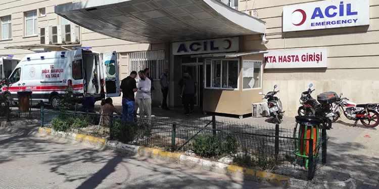Şanlıurfa’da acemi kasaplar hastanelik oldu
