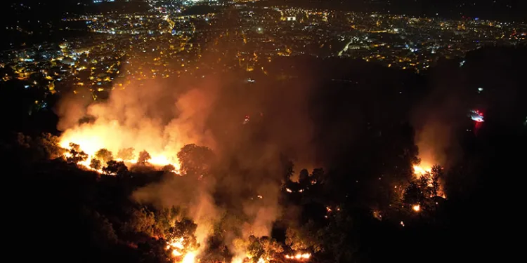 Tire’de yangında beş dönümlük alan zarar gördü