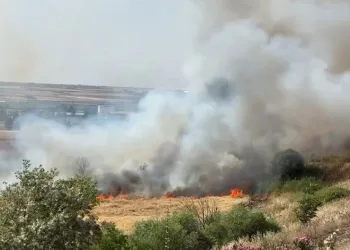 Diyarbakır’da 300 dönüm ekili buğday yandı