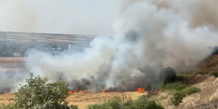 Diyarbakır’da 300 dönüm ekili buğday yandı