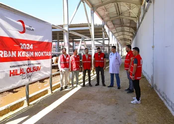 Türk Kızılay’ı kurban kesimlerine başladı