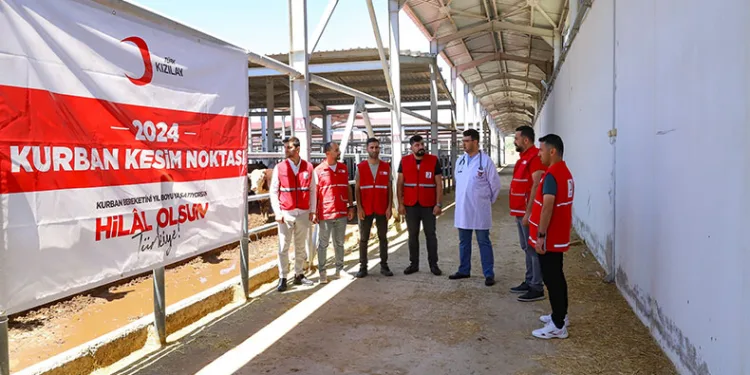 Türk Kızılay’ı kurban kesimlerine başladı