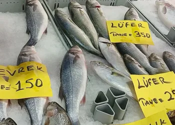 Balık tezgahlarında son durum