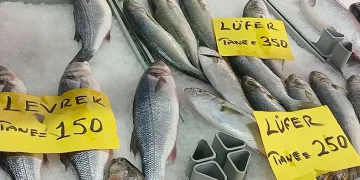 Balık tezgahlarında son durum