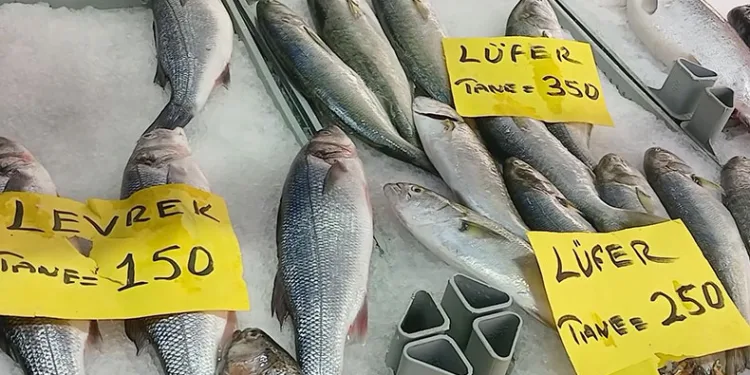 Balık tezgahlarında son durum