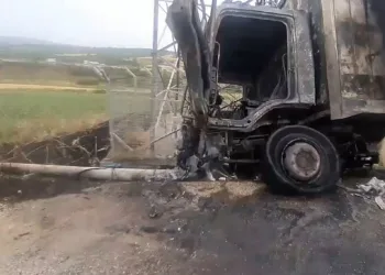 Arı yüzünden devrilen kamyon yandı