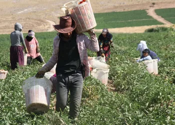 “Çalışma saatleri modifiye edilmeli”