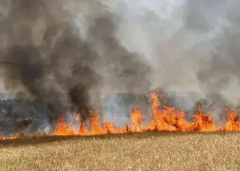Çanakkale’de tarım arazisinde yangın