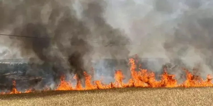Çanakkale’de tarım arazisinde yangın