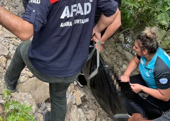 Girdiği derede boğuldu
