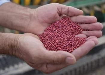 Niğde’de kuraklığa dayanıklı tohum ekildi
